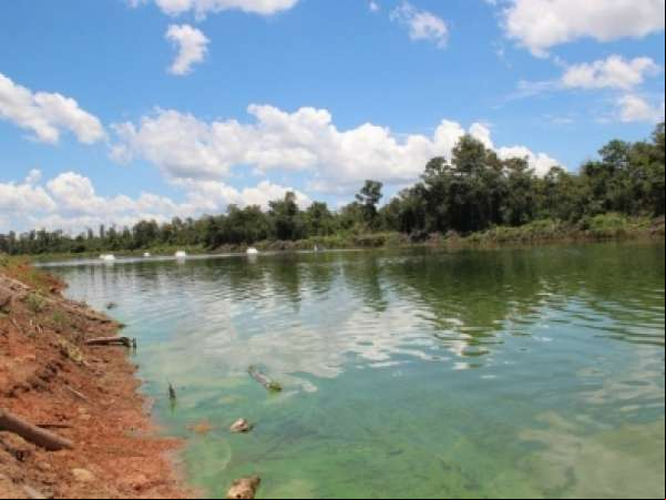 Criança morre ao cair em tanque de peixe