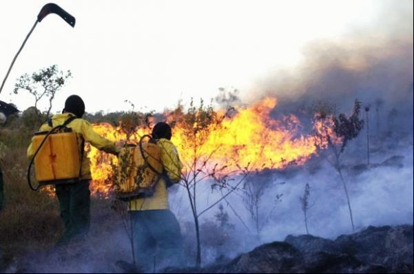 MT é o estado com mais focos de calor nos primeiros 20 dias de janeiro