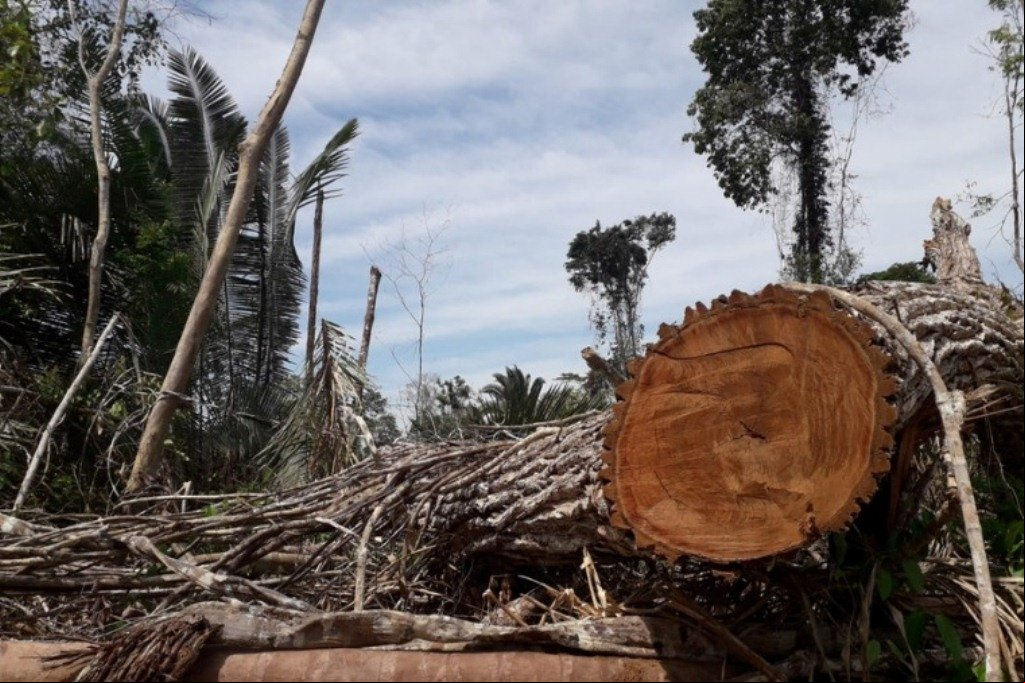 Balanço inclui prisão em flagrante e diversos materiais apreendidos
