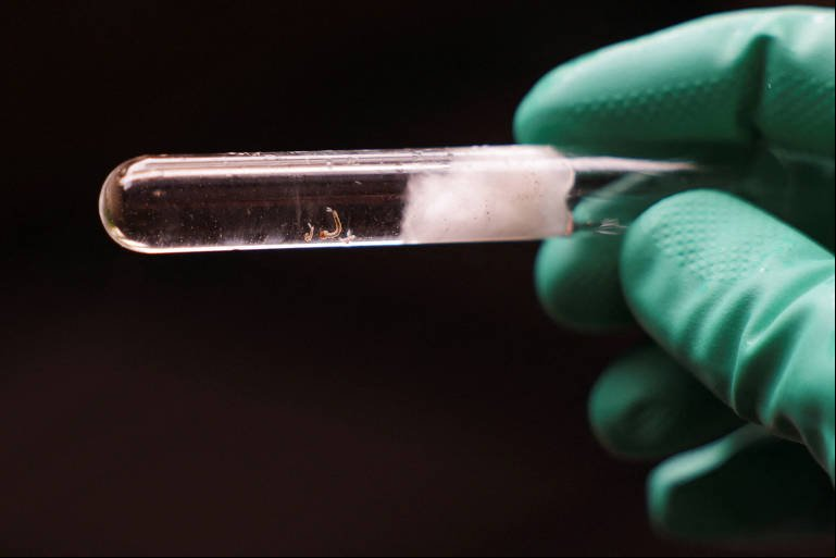 Brasil tem mais de um milhão de casos de dengue este ano