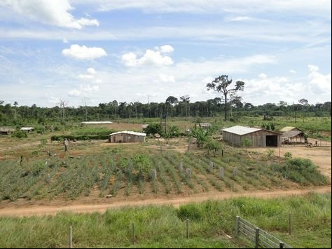 TRF manda idosos reassumirem área de 2,4 mil hectares ocupada há 27 anos por posseiros