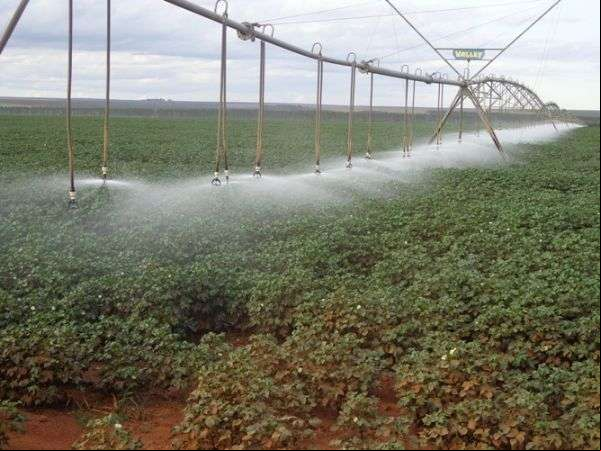 Mato Grosso teve R$ 140,9 milhões aprovados em FCO Rural em setembro