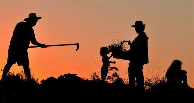Projeto de lei que institui o dia do trabalhador rural em Colniza é aprovado