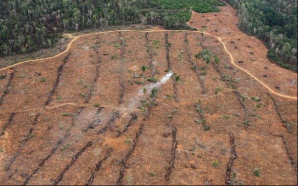 Mato Grosso desmatou em maio 56% da Amazônia, diz boletim do Imazon
