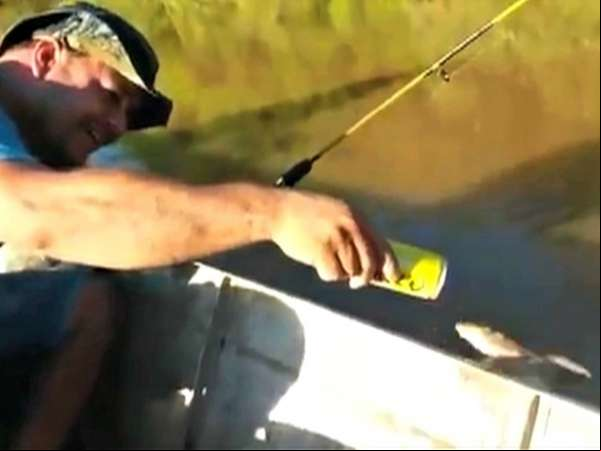 Imagens mostra pescadores dando cerveja para peixe em rio de MT