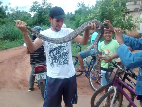 Cobra de 2 metros é flagrada ao comer galinhas no quintal de casa em MT