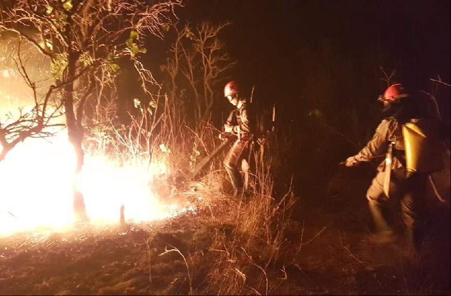 Mato Grosso antecipa o período proibitivo do uso do fogo
