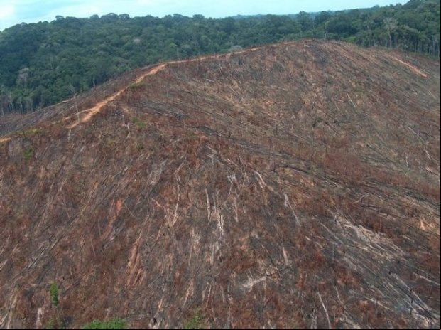 Justiça impede servidor suspeito de esquema com Magis e JBS de chefiar Ibama em MT