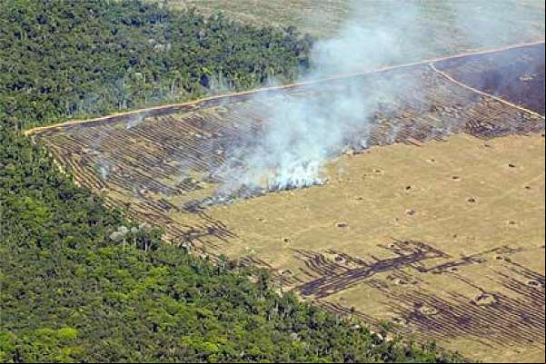 Sema vistoria 20,6 mil hectares em três meses