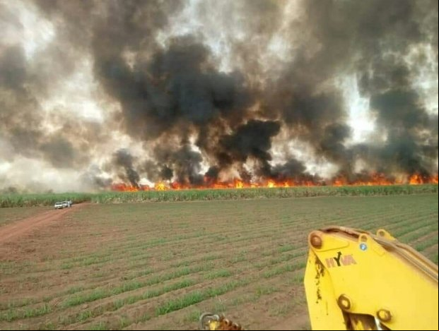 Incêndio atinge lavoura de cana-de-açúcar em MT