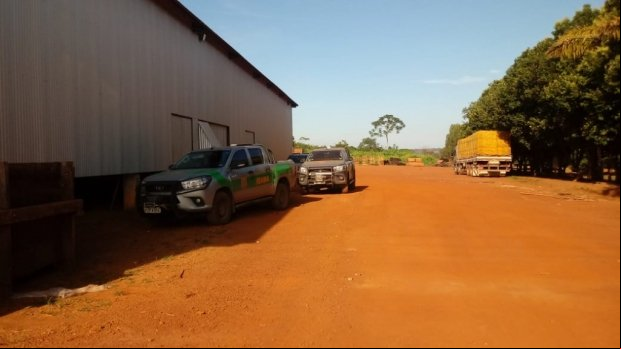 Polícia Federal descobre esquema de R$ 15 milhões e bloqueia contas, carros e aviões de madeireiros