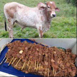 Boi de estimação vira churrasco e caso vai pra polícia