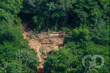 78% da degradação na Amazônia Legal ocorre em MT