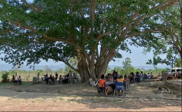Alunos estudam embaixo de árvores por falta de estrutura em escola de MT