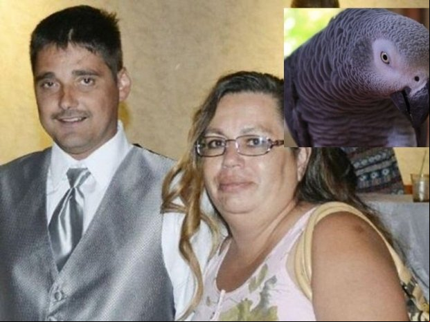 Mulher é condenada por assassinato do marido em crime 'testemunhado' por papagaio