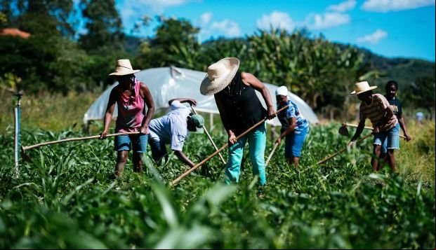 Agricultura familiar foi responsável por R$ 80 mi em financiamentos em MT; 40 mil produtores foram atendidos