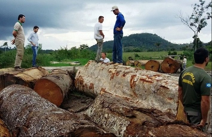 MPF vai acionar responsáveis por desmatamentos acima de 60 hectares