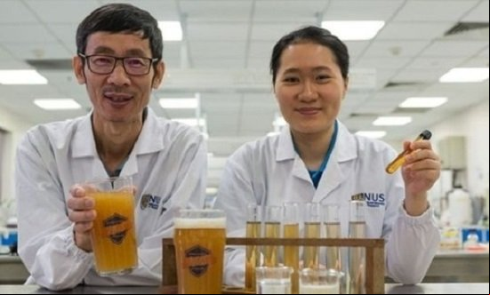 Cientistas criam cerveja com bactérias que aumentam a imunidade