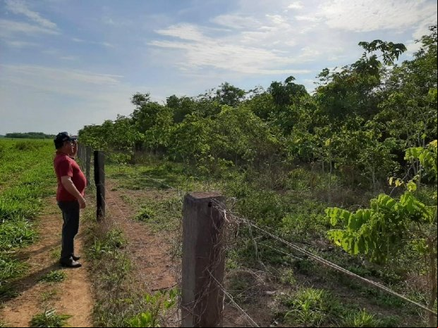 Mais da metade das áreas das propriedades rurais é preservada em Mato Grosso