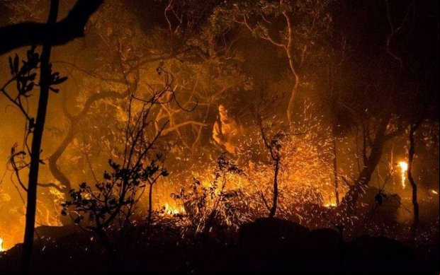 Incêndio no Parque Nacional da Chapada dos Veadeiros já consumiu quase 15% da área da unidade