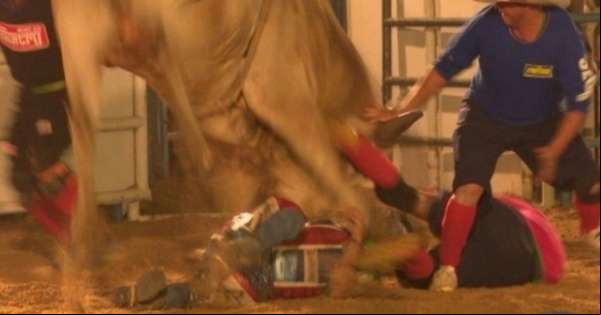Salva-vidas é atacado por touro durante rodeio e é internado na UTI