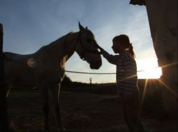 Criança morre após ficar presa a corda de cavalo em MT