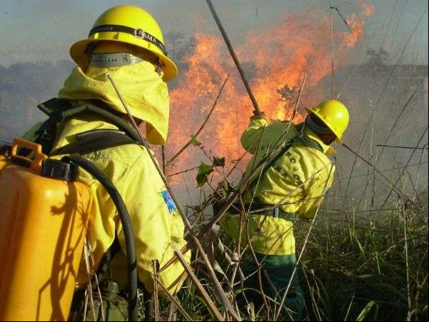 Ibama irá realizar seleção em abril para contratar 1.019 profissionais temporários