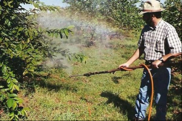Inca recomenda redução do uso de agrotóxicos para prevenir câncer