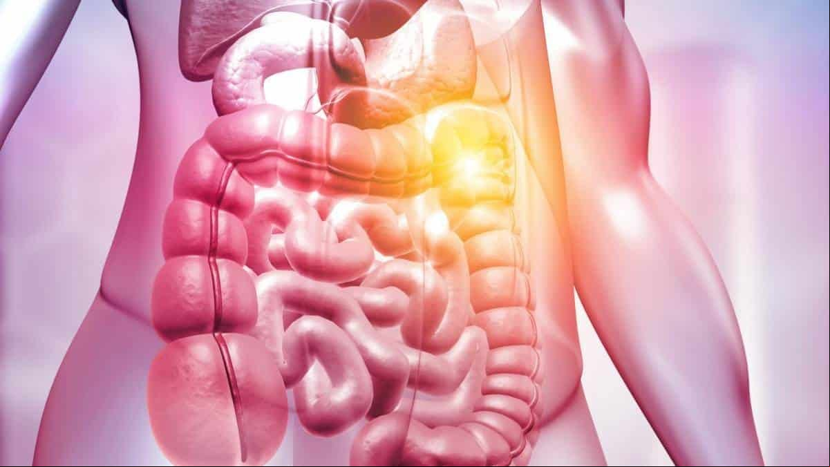 Homem faz transplante de fezes por produzir álcool no intestino