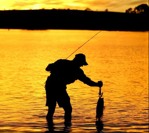 Defeso da piracema começa em outubro e vai até janeiro em Mato Grosso