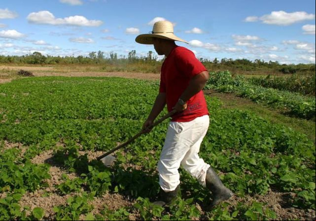 Assentados de Vera estão sob pressão de interesses de políticos que estão a serviço dos latifundiários