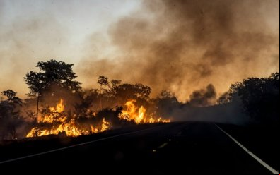 MT: Queimadas rendem R$ 15 mi em multas