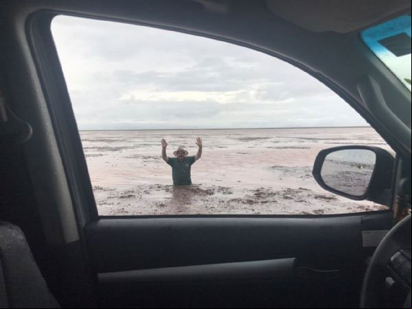 Estragos nas lavouras causados pela chuva são estimados em R$ 2,4 mi em Campo Novo do Parecis