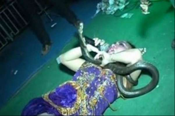 Cantora é picada por cobra durante show e morre no palco