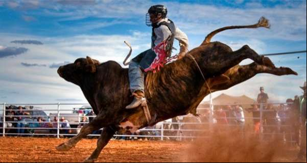 Nesta sexta-feira começa a 9ª Expoalta em Colniza-MT
