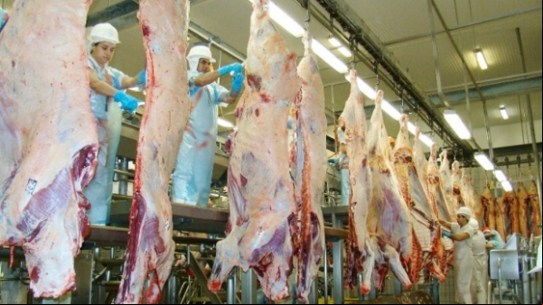 Sem gado para abater, frigoríficos fecham as portas em MT