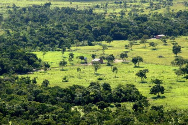Aprovada nova lei de regularização fundiária sustentável