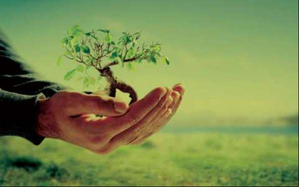 Colniza e mais cinco munícipios de Mato Grosso recebem certificação para atuação ambiental