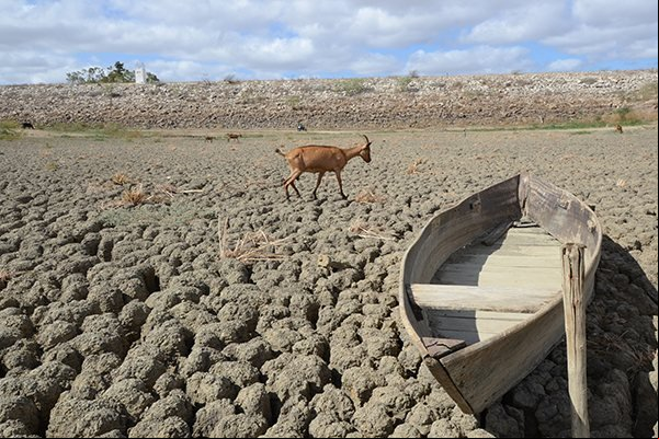 Pesquisadores preveem agravamento da seca no Nordeste entre fevereiro e abril