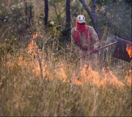 Governo prorroga período proibitivo para as queimadas