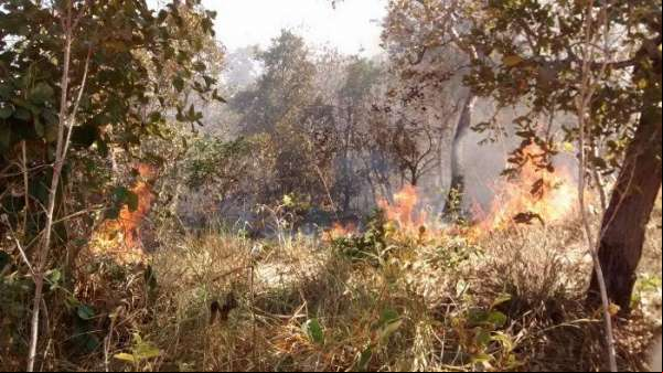 Avião auxilia no combate a incêndio em terra indígena