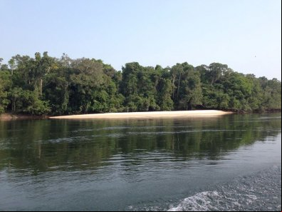 Pescador cai de barco e morre afogado em MT