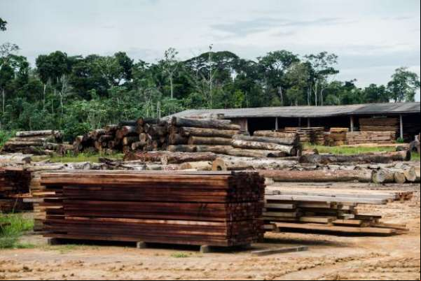 Amazônia ameaçada: Colniza, um retrato do desmatamento em Mato Grosso