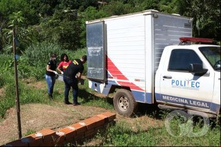 Trabalhador rural morre após árvore cair em sua cabeça em Colniza 