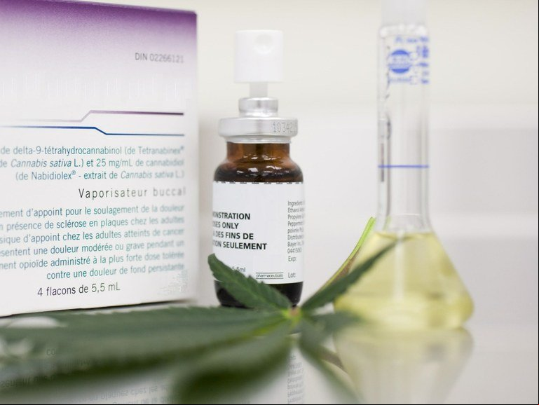 Anvisa registra primeiro medicamento à base de Cannabis sativa