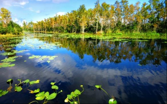 Fundo Amazônia vai investir R$ 150 milhões em novos projetos de conservação