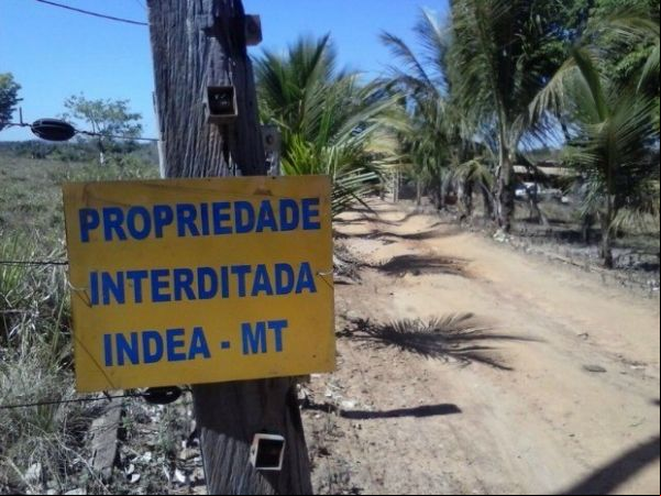 Indea investiga doença em animais em MT e interdita 49 propriedades