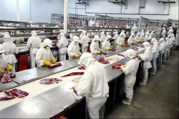 Critérios para atestar qualidade da carne de Mato Grosso são discutidos