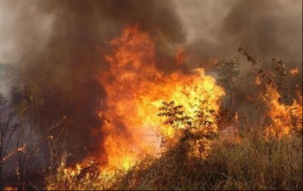 Colniza liderou focos de calor em Mato Grosso