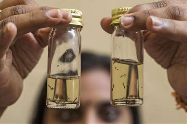 Zika infectou ao menos 500 mil neste ano; casos de microcefalia crescem 41%